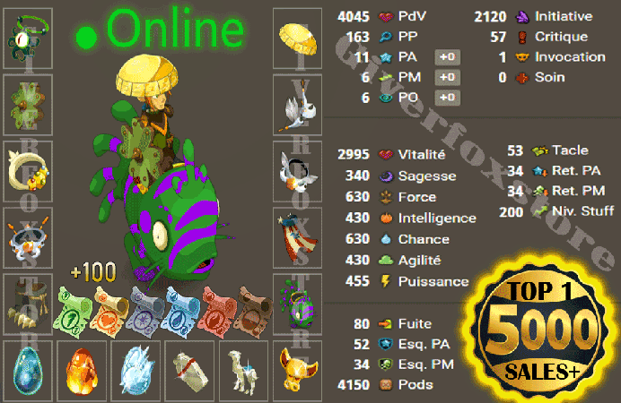 Hellmina>[ Panoplie Niveau 200 multi Opti 11P-A 6PM 6PO ] + 5 M kamas + Kit parchotage tout les elements