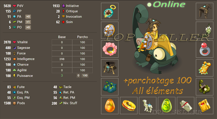 Panoplie intelligence Opti Niveau 200 pour tout les classes + Parchotage +100 all elements + bonus - livraison 5 minutes
