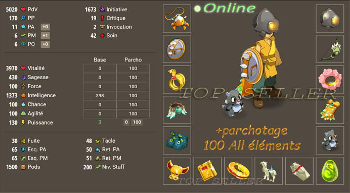 Panoplie intelligence lvl 200 opti + Parchotage 100 All elements + bonus - livraison 5 minutes