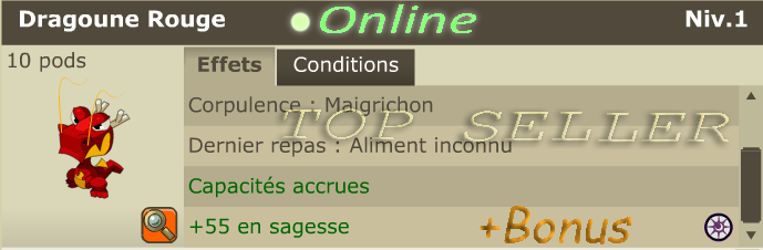 [ Allisteria . Top Seller ] : Dragoune rouge 55 sagesse + bonus - Delivery 5 minutes
