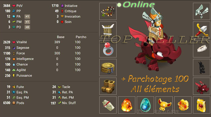 Panoplie terre bon jet lvl 198 + Parchotage +100 all elements + bonus - livraison 5 minutes