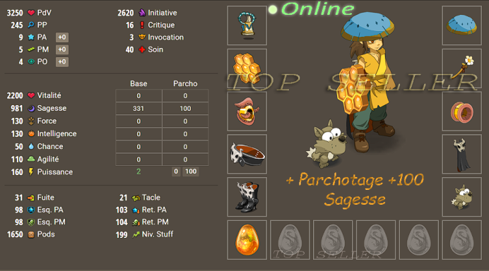 Panoplie lvl 190 ( 980 sagesse ) + Parchotage +100 sagesse + bonus - livraison 5 minutes