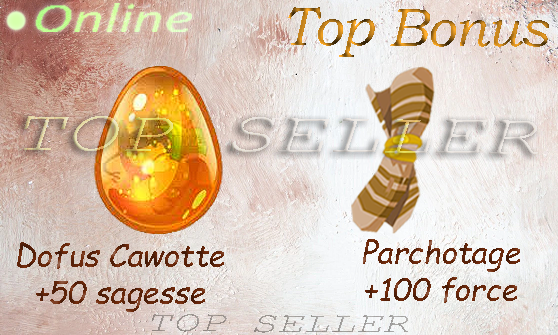 Dofus cawotte + Kit parchotage +100 force + Top Bonus - Delivery time ==> 5 minutes . [ Top Seller ]