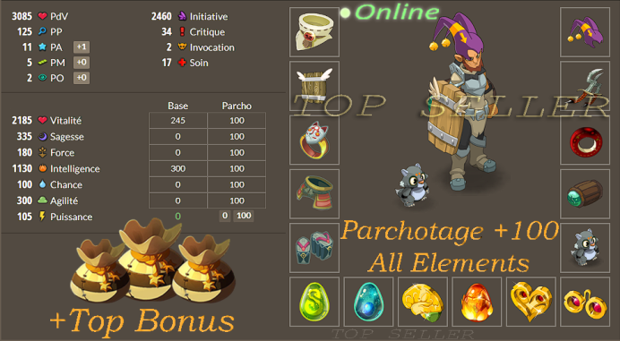 Draconiros : Panoplie intelligence Opti lvl 160 + Kit parchotage +100 All Elements + Top Bonus - Delivery time : 5 minutes 