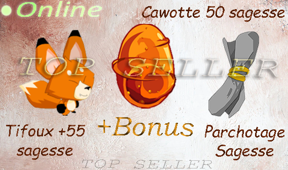 Dofus cawotte 50 sagesse + Tifoux 55 sagesse + parchotage + 101 sagesse + bonus - livraison 5 minutes