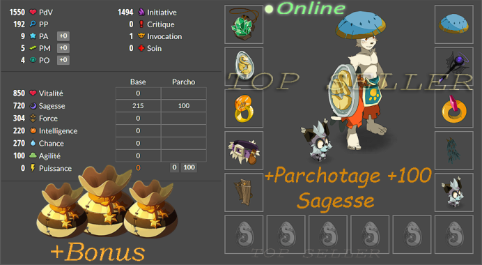 Panoplie +720 sagesse lvl ( 100 - 150 ) + Kit parchotage +100 sagesse + Bonus - livraison 5 minutes