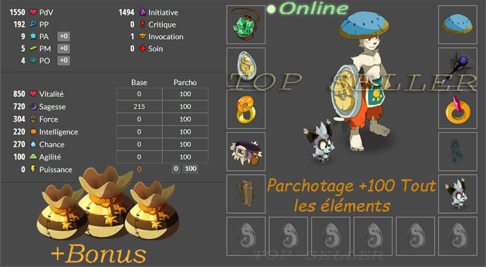 Panoplie +720 sagesse lvl ( 120 - 200 ) + parchotage 100 tout les elements + Bonus - livraison 5 minutes