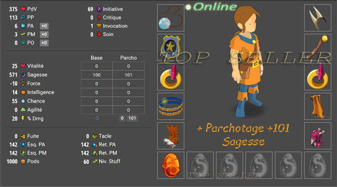 Boune : Stuff +570 sagesse lvl 50 + Parchotage 101 sagesse + dragoune rose 55 sagesse + Dofus cawotte 50 sagesse + Bonus - livraison 5 minutes