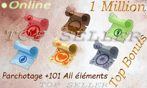 [ Top Seller ] ==> Kit parchotage +101 All Elements + 1.000.000 Kamas + Top Bonus - livraison rapide : 5 minutes