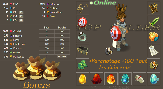 [ Top Seller ] ==> Pano Terre Opti Niveau 200 ( Items Legendaire ) + Parchotage +100 all elements  + bonus - livraison 5 minutes
