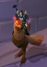 Magic Rooster Egg mount /el pollo grande unused New chicken mount/ world of Warcraft / wow