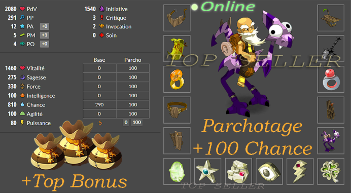 panoplie chance lvl 114 opti + Top bonus - livraison 5 minutes