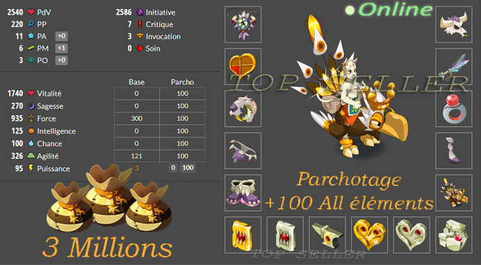 Panoplie Full terre 11 pa / 6 pm + Parchotage +100 All elements + 3 Millions Kamas + Top Bonus - livraison 5 minutes