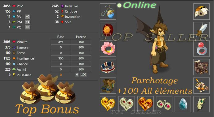 Panoplie lvl 200 intelligence 11 pa / 6 pm + Parchotage +100 All elements + Top Bonus - livraison 5 minutes