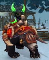 Amani War Bear RED ARMOR (no longer available in the game) (Zul'Aman) EXCLUSIVE