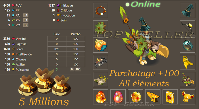 Talkasha : Panoplie 1600 force lvl 200 opti 4400 vitalite + Parchotage +100 tout les elements + 5M Kamas + Top Bonus - livraison 5 minutes