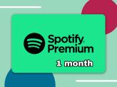 Spotify Premium account / Warranty 30 days / Best Price