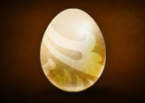 X1 Dofus Ivory for Draconiros