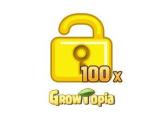 100X World Lock for Global