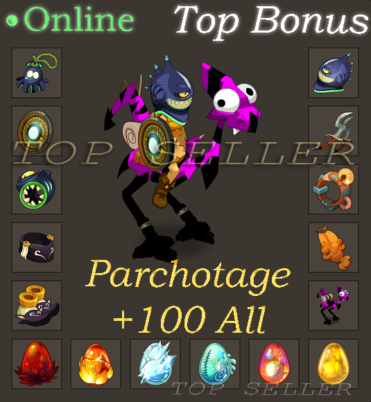 Panoplie lvl 200 parfait jet intelligence / Agilite 12 pa / 6 pm  + Parchotage All elements + Top Bonus - livraison 5 minutes 