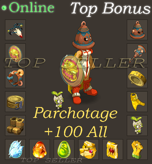 Panoplie lvl 198 terre optimisé + Parchotage All elements + Top Bonus - livraison 5 minutes