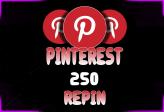 PINTEREST 250 REPIN | FAST DELIVERY 