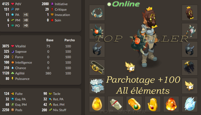 Stuff Agilité / Do poussé lvl 200 parfait jet + Top Bonus - livraison 5 minutes