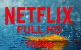 NETFLIX FULL HD 1080p standart 30d WORKS with VPN
