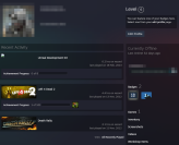 Steam Account - Left 4 Dead 2 / 24 feb 2011 reg / + Mail / Full Access / Instant Delivery 24/7 l4d2 Old LVL HIGH main rare