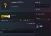 Steam Account - Left 4 Dead 2 / 24 jan 2012 reg / + Mail / Full Access / Instant Delivery 24/7 l4d2 Old LVL HIGH main rare