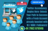 TWITTER ACCOUNTS - VERIFIED BY EMAIL | With 1K FOLLOWERS (1000) Followers