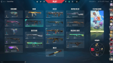 [EU] Valorant Champions 2022/23 Bundle, 91 lvl, 81 Skins + few Hotskins