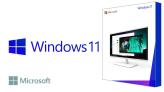 Windows 10 Pro / Windows 11 Pro  lifetime