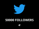 50000 TWITTER Followers - Guaranteed Service - No Drop - Surprise gifts (TWITTER followers service)
