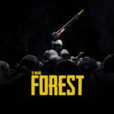 The Forest + Raft + SCUM [Steam/Global]