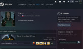 no transactions-CS:GO Prime 260 hours