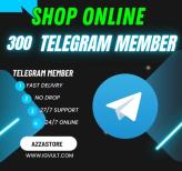   Telegram Member Channel 300 Telegram Channel Member - Guaranteed Service - No Drop - Surprise gifts (Telegram service)