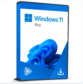 Microsoft Windows 11 Professional Digital License Retail