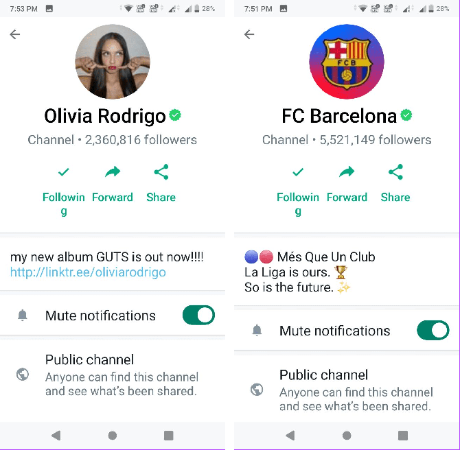 1000 Whatsapp Channel Members iGV