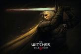 THE WITCHER 3 : WILD HUNT / Online Steam / Full Access / Warranty / Inactive / Gift