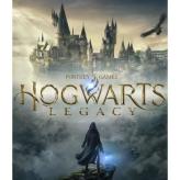 | CUSTOM ORDER Hogwarts Legacy - not purshase item dont buy it JUST ASK US 