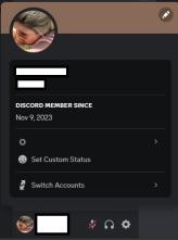 Discord 2023 + Auto delivery + Email access