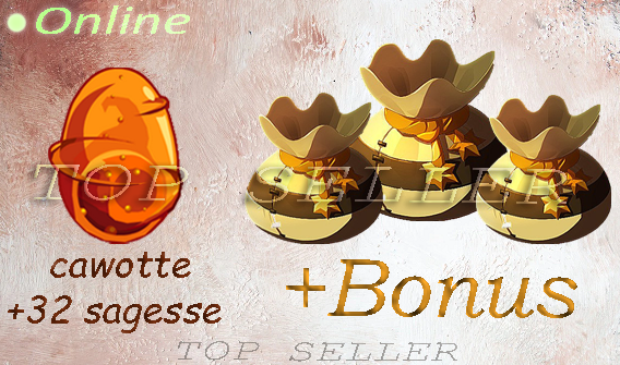 boune : Dofus cawotte 32 sagesse + bonus - livraison 5 minutes