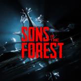 | CUSTOM ORDER Sons of The Forest - not purshase item dont buy it JUST ASK US 