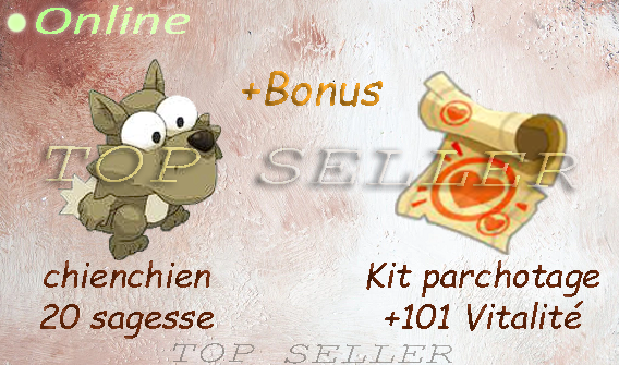 boune : parchotage +101 vitalite + chienchien 20 sagesse + top bonus kamas - livraison 1 minute