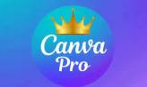 Canva Pro Lifetime 6/12/18 month WARRANTY