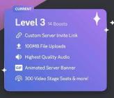 14 BOOSTS FOR YOUR DISCORD SERVER  [3 MONTHS]  LVL 3