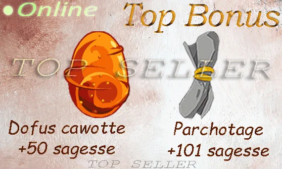 Dofus cawotte +50 sagesse + parchotage +100 sagesse + bonus - delivery time ==> 5 minutes
