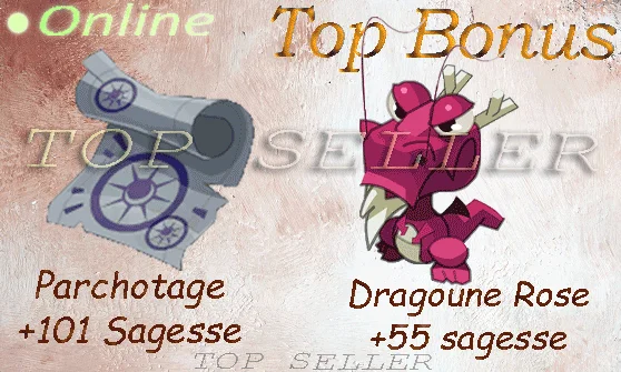 Boune : Dofus cawotte +50 sagesse + dragoune rose +55 sagesse + parchotage + 101 sagesse + Top bonus - livraison 1 minute