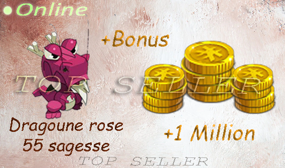 Familier : Dragoune rose 55 sagesse + 1 000 000 kamas + bonus - livraison 5 minutes